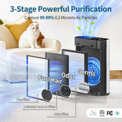 ECOSELF air purifier 360-degree airflow handles purification from every direction