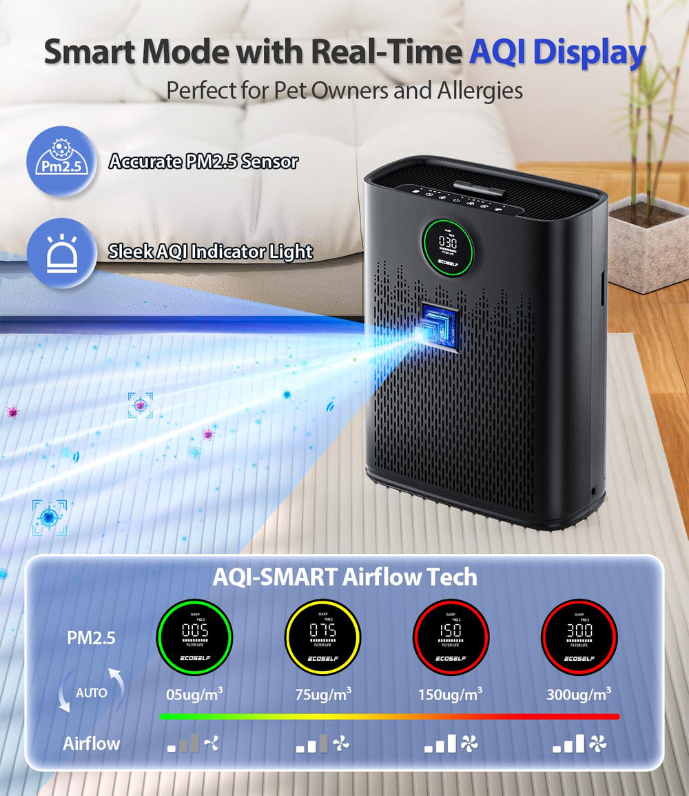 ECOSELF HAP603 display panel with real-time PM2.5 readings and status