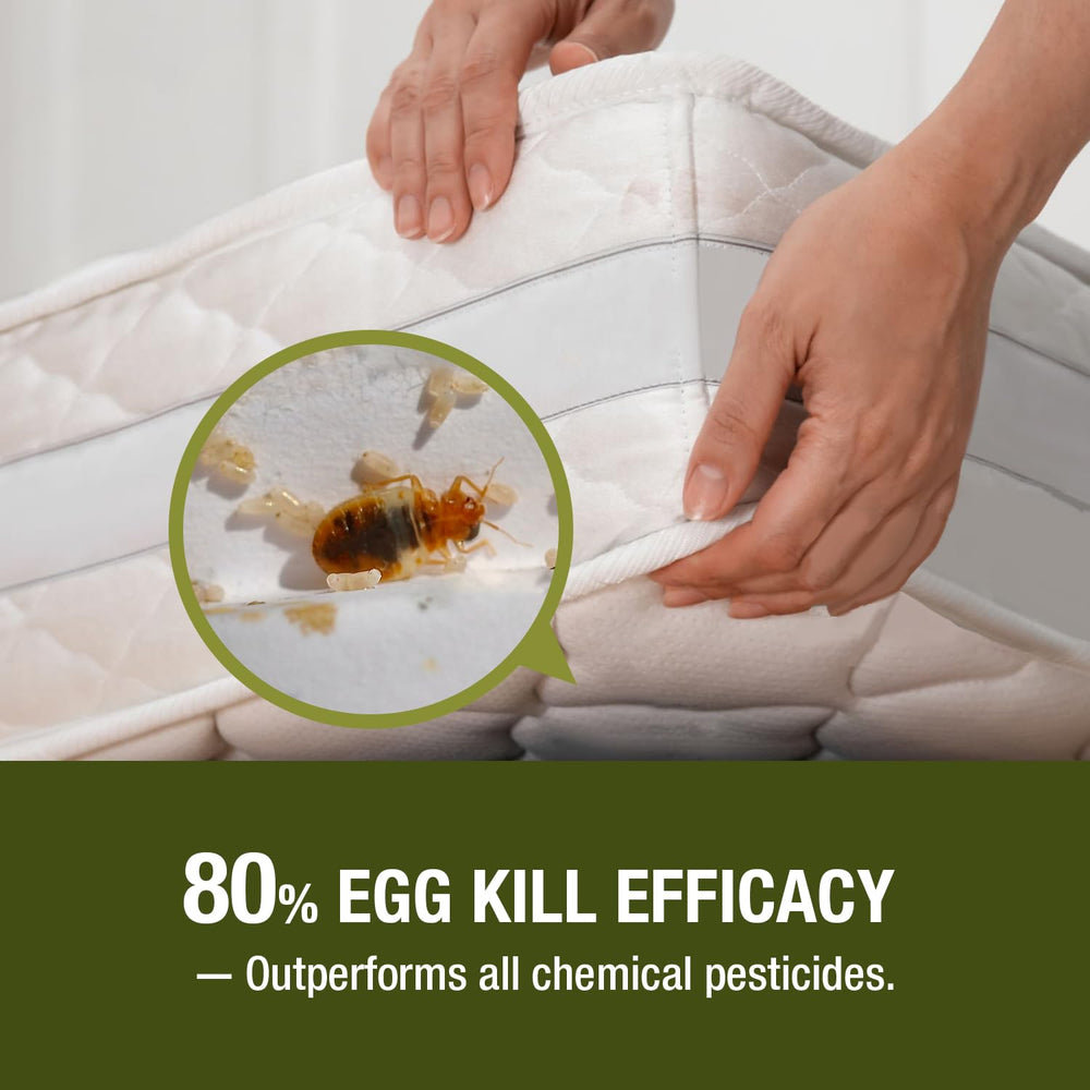 EcoVenger Bed Bug Killer mattress application demonstrates direct treatment of sleeping surfaces.