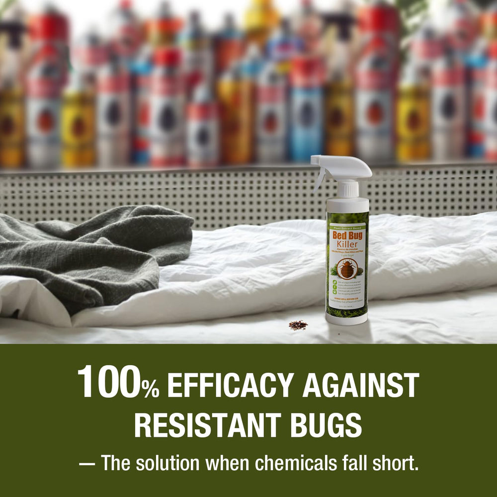 EcoVenger bed bug study reference image hints at high potential efficacy.