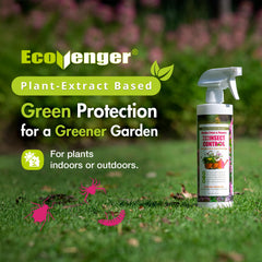 EcoVenger Garden Insect Control dilution in water enables use on delicate plants