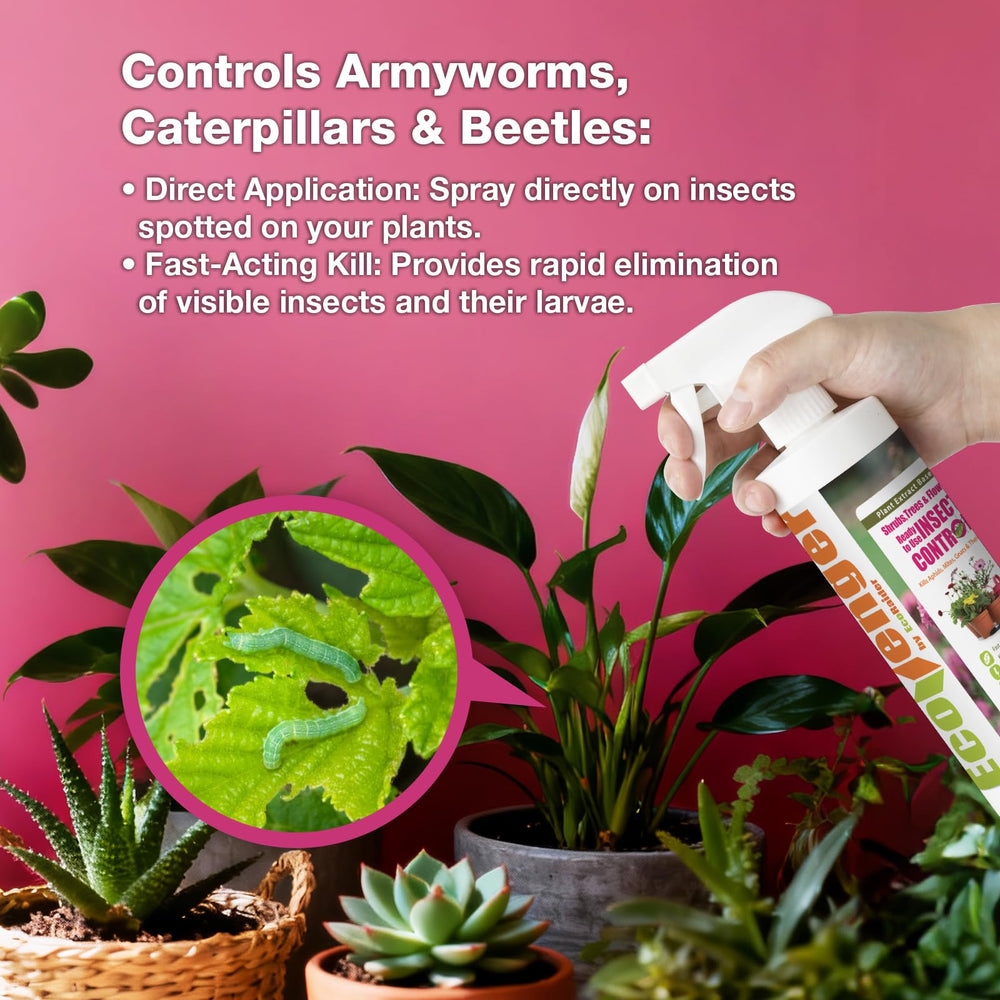 EcoVenger Garden Insect Control gnats kill illustrates effective indoor pest protection