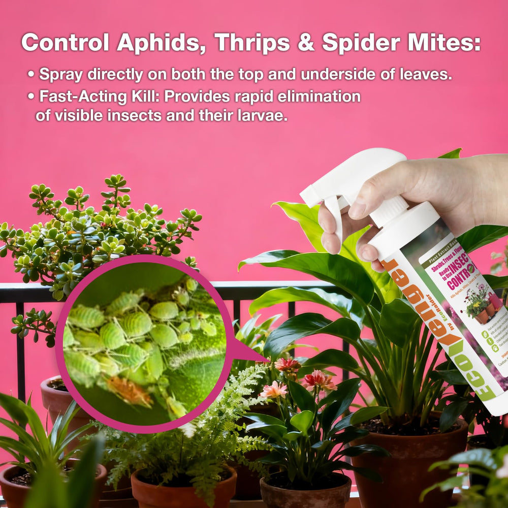 EcoVenger Garden Insect Control healthy potted plants show thriving indoor greenery
