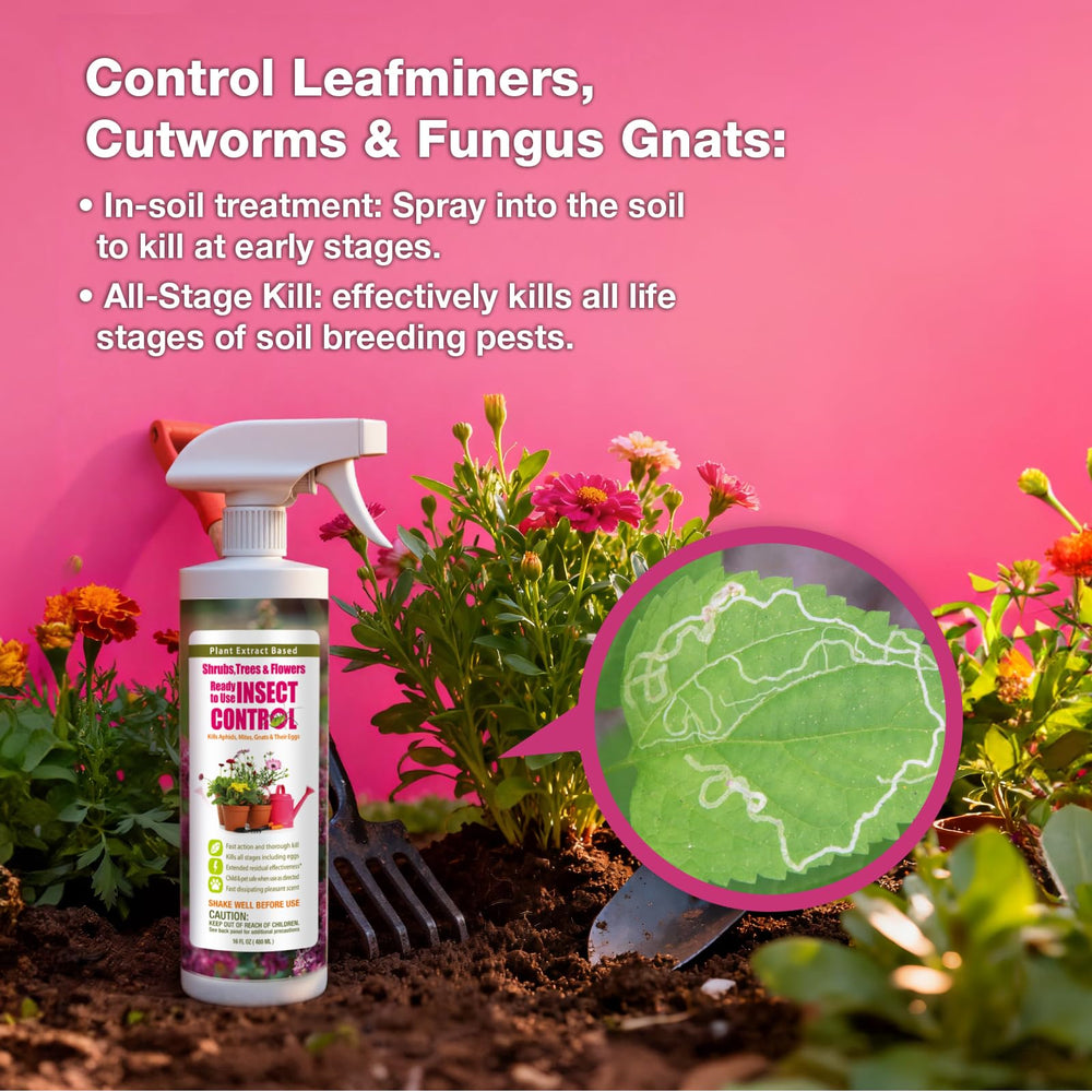 EcoVenger Garden Insect Control indoor outdoor use showcases versatile pest control