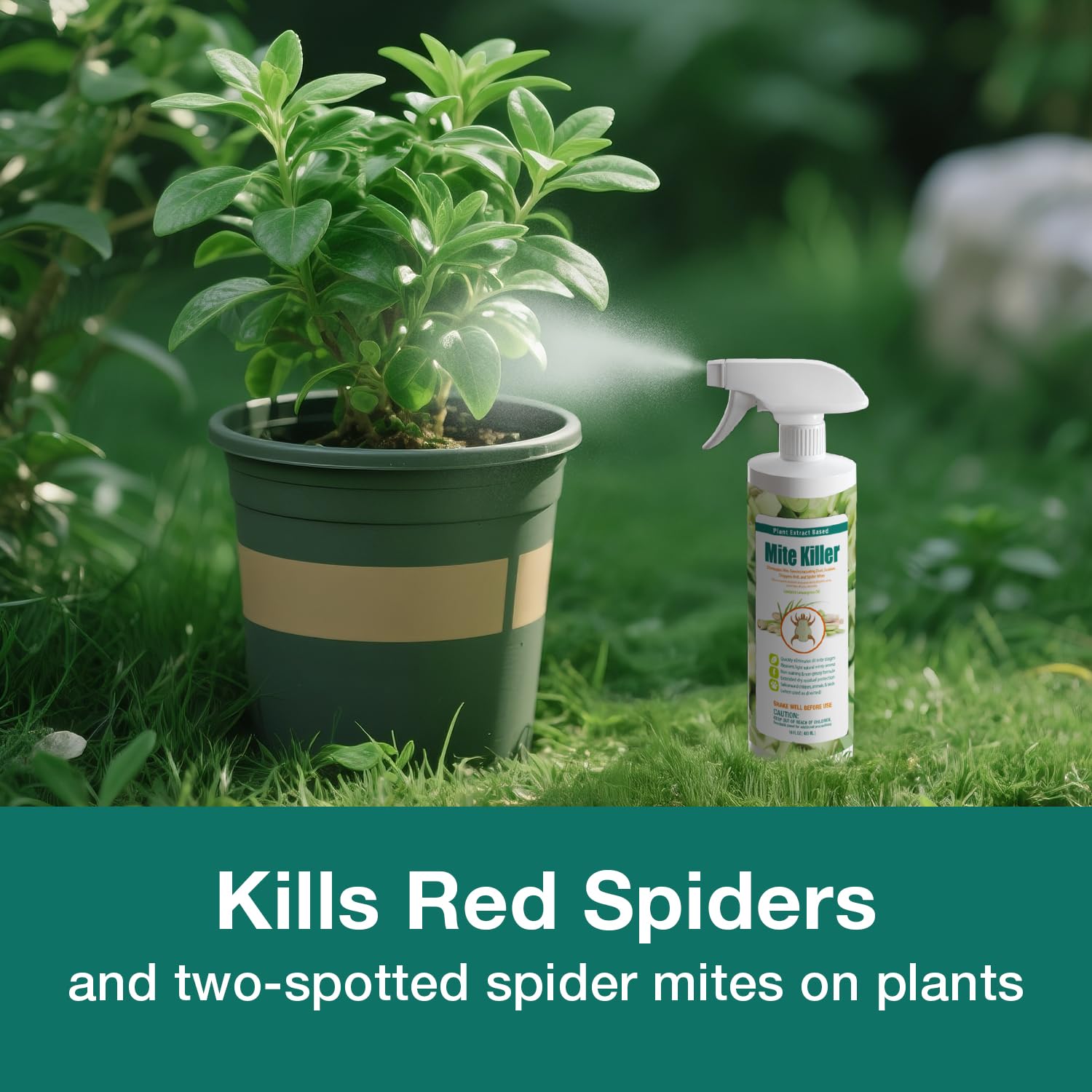 EcoVenger Mite Killer used near pets in a safe home setting.