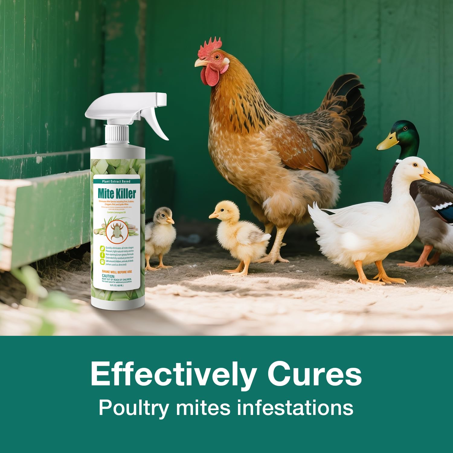 EcoVenger Mite Killer in poultry coop supporting flock health.