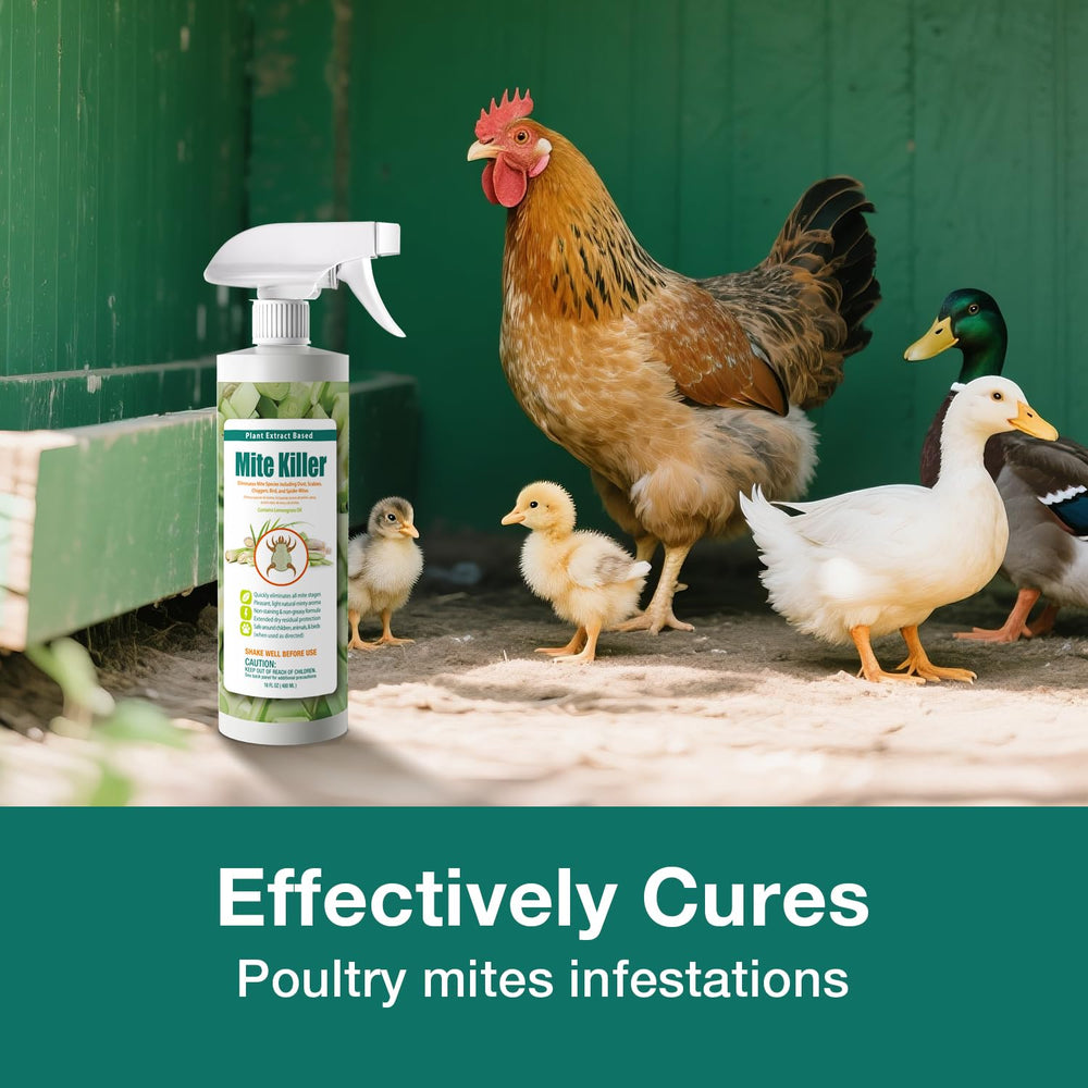 EcoVenger Mite Killer in poultry coop supporting flock health.