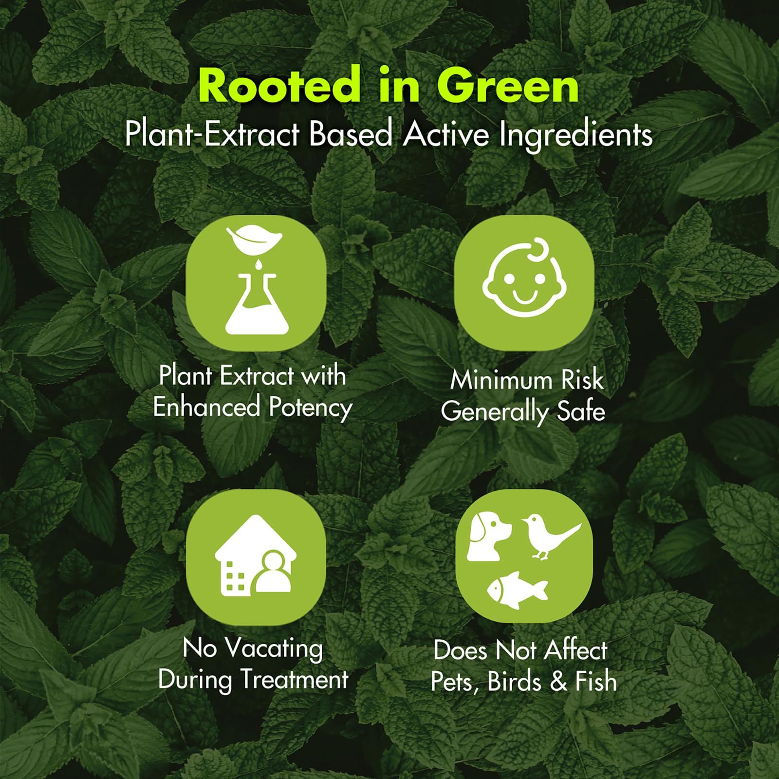 EcoVenger Roach Killer 16 oz application method illustration.