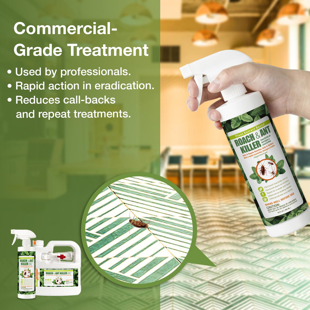EcoVenger Roach Killer 16 oz perimeter spray by doorway for protection.