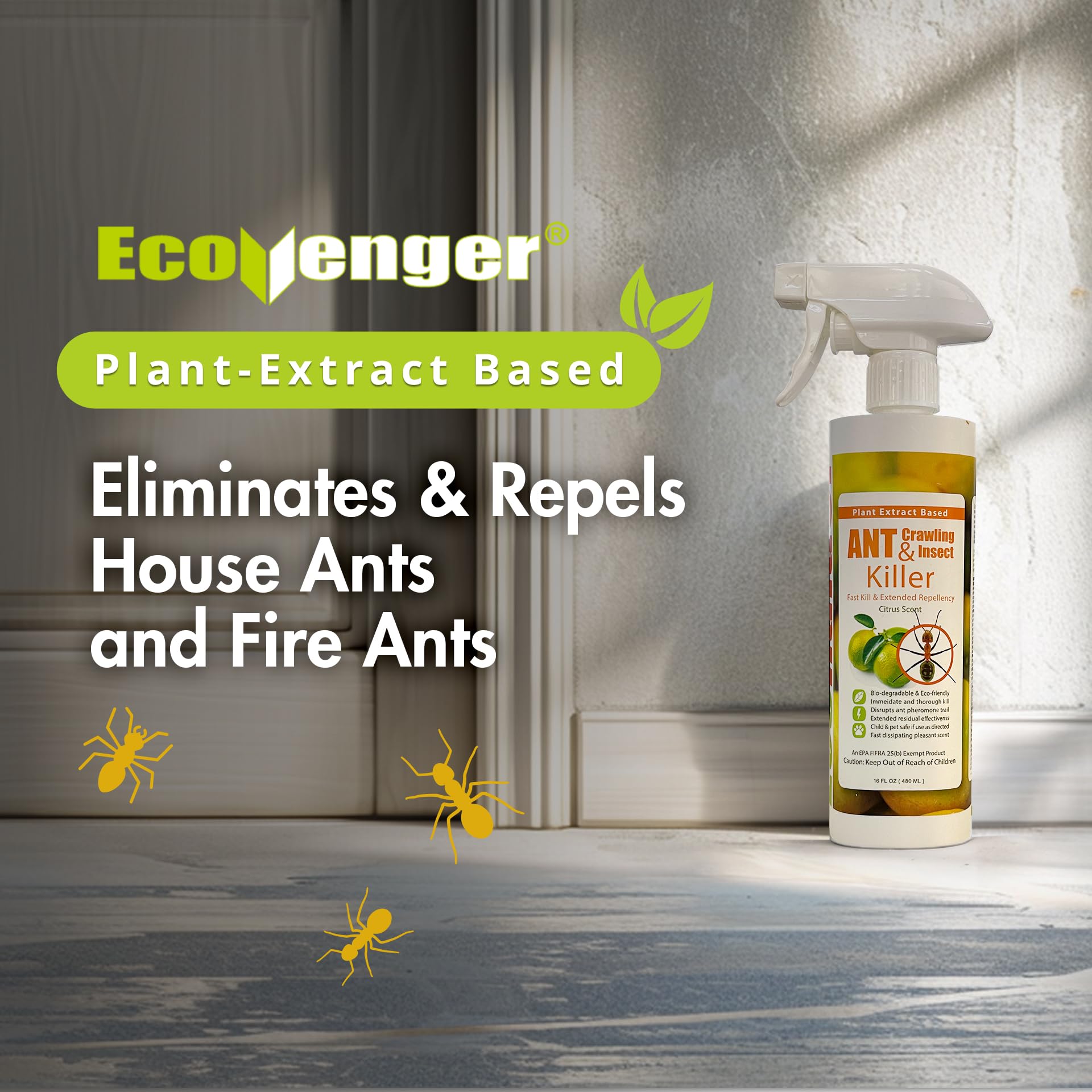 EcoVenger spray action on ants showing quick knockdown and disrupted trails