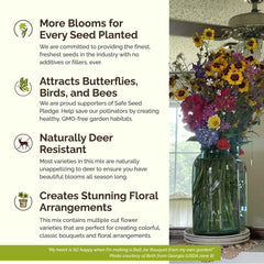 Eden Brothers Burst of Bloom Lance Leaf Coreopsis offers long-lasting color in full sun.