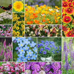 Eden Brothers deer-resistant wildflower mix seed bag ready for easy planting and color