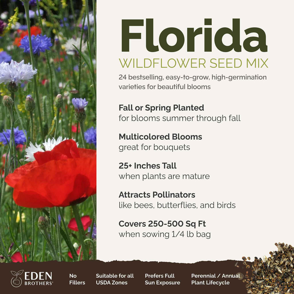 Closeup of Eden Brothers Florida wildflower seeds with pure mix visible.