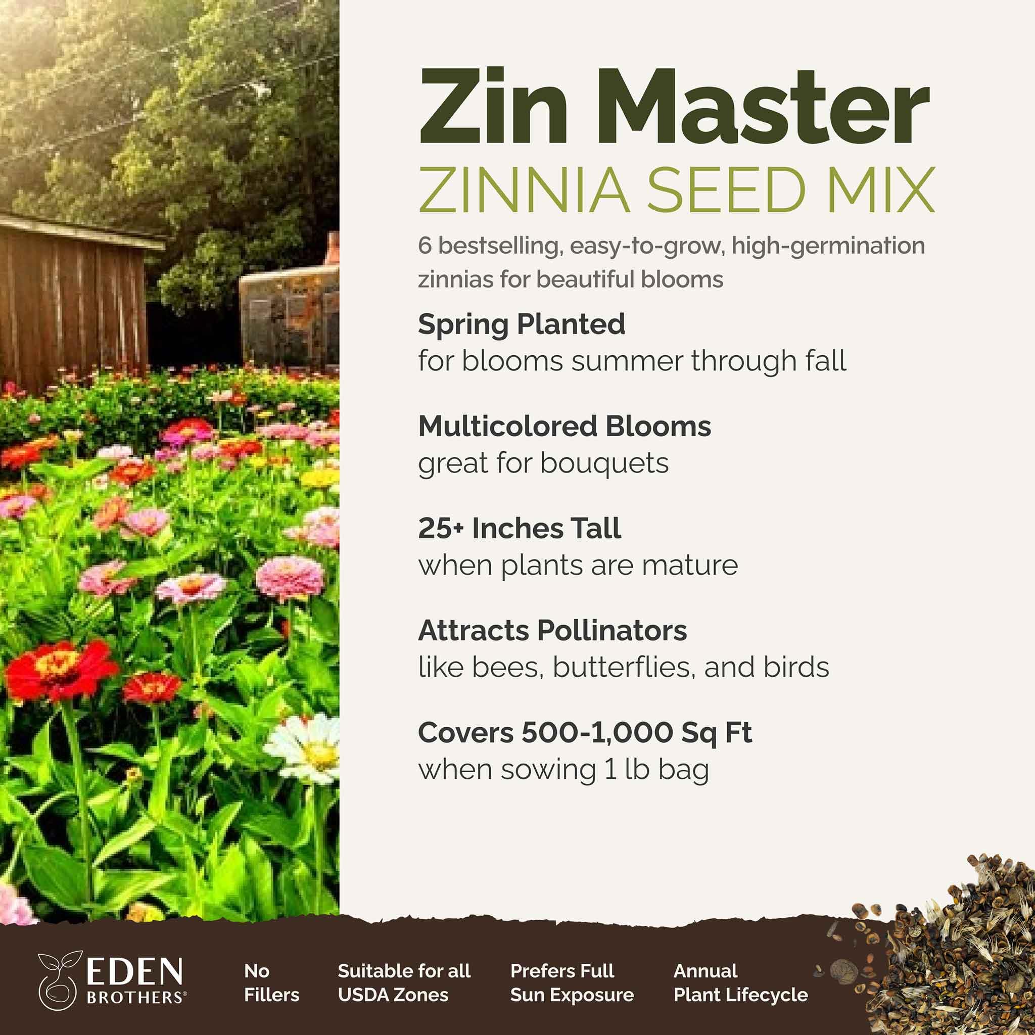 Eden Brothers Mexican-zinnia-seeds for bright garden color in warm sun.