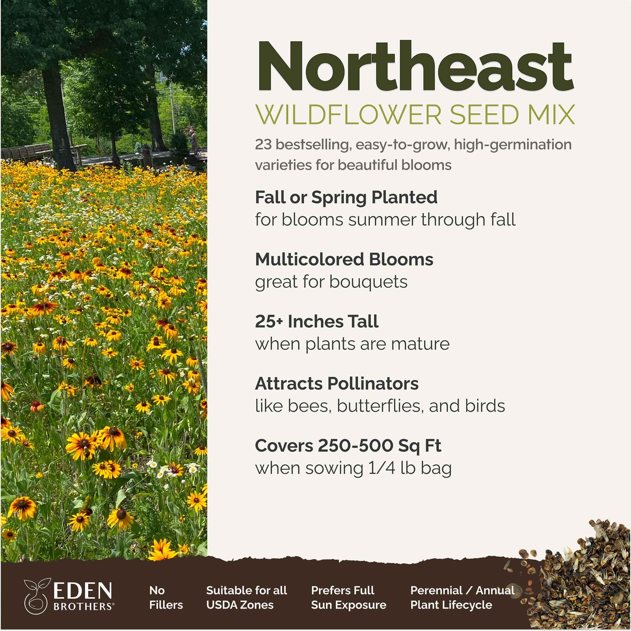 Eden Brothers pollinator-friendly garden bloom scene promoting bees and butterflies
