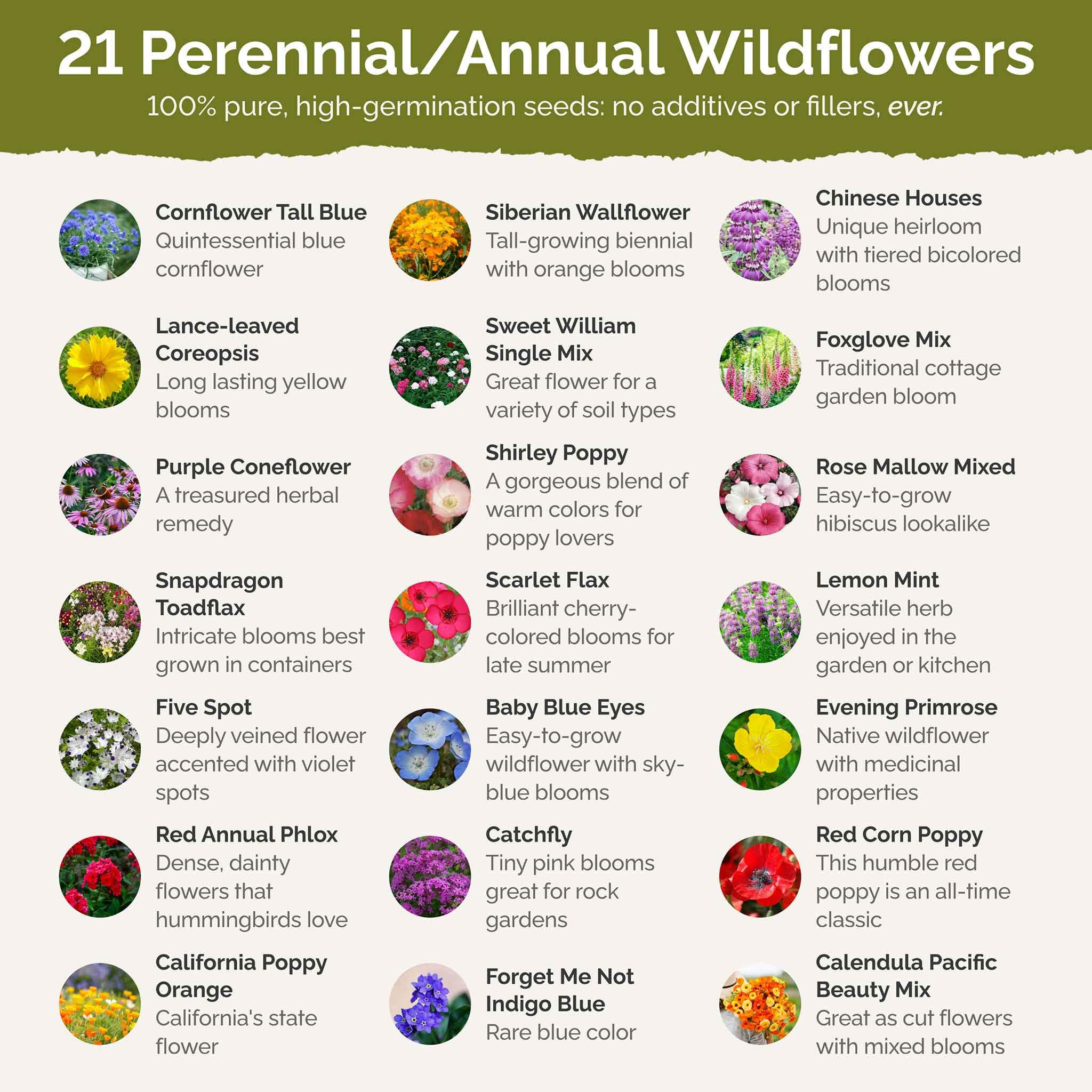 Eden Brothers partial shade wildflower mix seed broadcast for a pollinator-friendly garden.