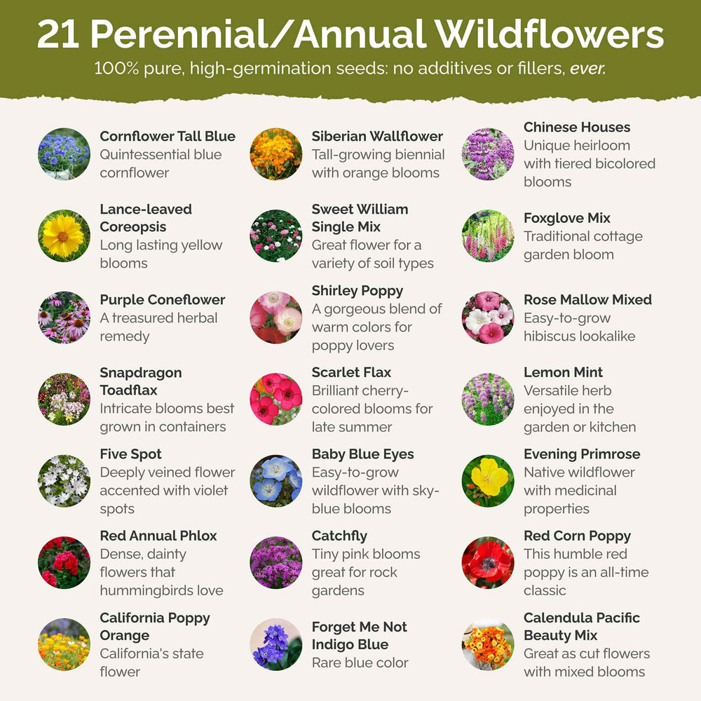 Eden Brothers partial shade wildflower mix seed broadcast for a pollinator-friendly garden.
