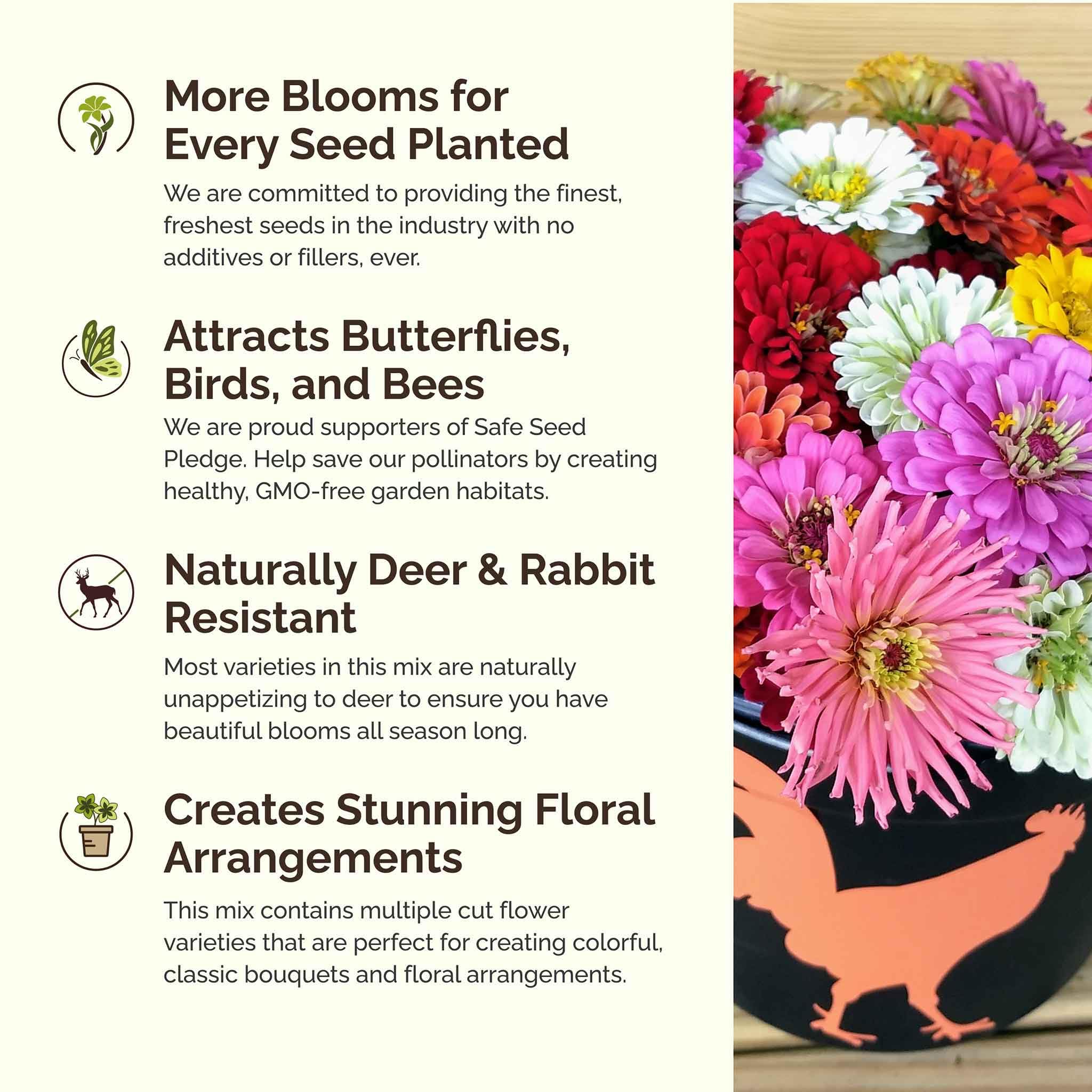 Eden Brothers Thumbelina-zinnia-seeds for airy, abundant summer color.