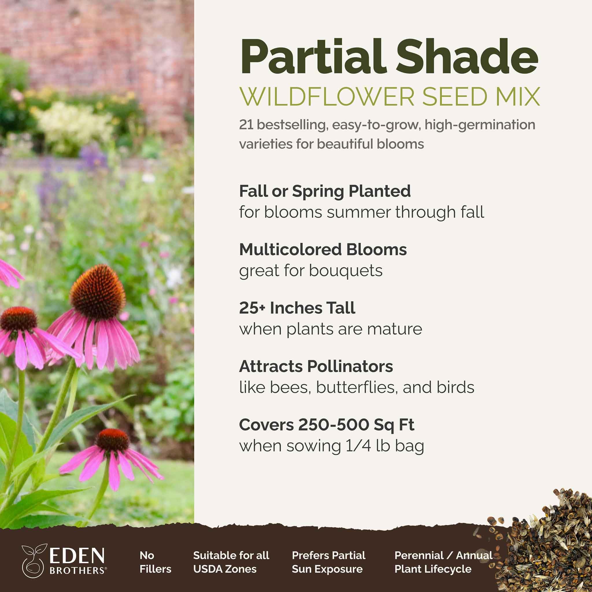 Eden Brothers wildflower seed mix blooming colors ideal for shady borders and ground cover.