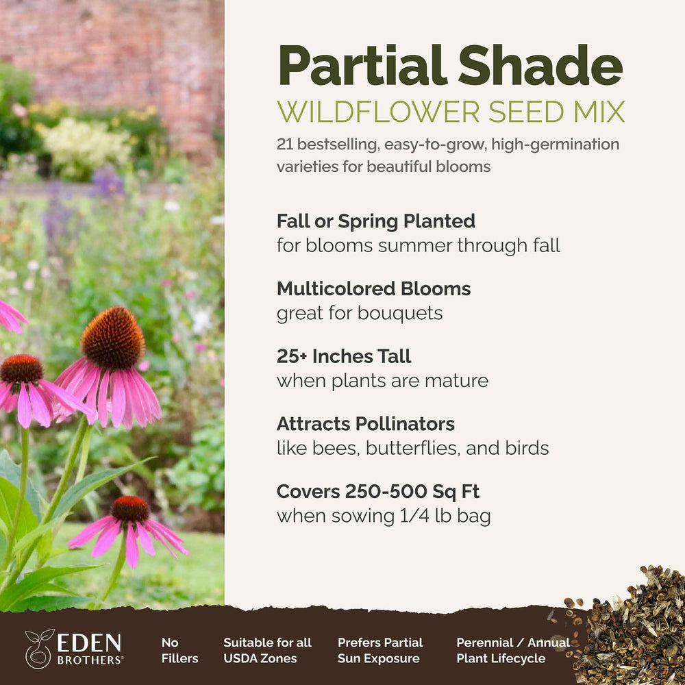 Eden Brothers wildflower seed mix blooming colors ideal for shady borders and ground cover.