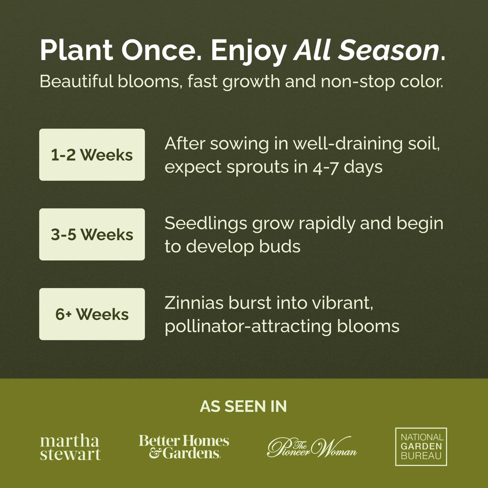 Eden Brothers zinnia seeds germinate quickly for a fast spring display