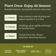 Eden Brothers zinnia seeds germinate quickly for a fast spring display