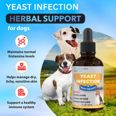 EDUZEBRA dosing-spoon demonstrates easy administration for dogs