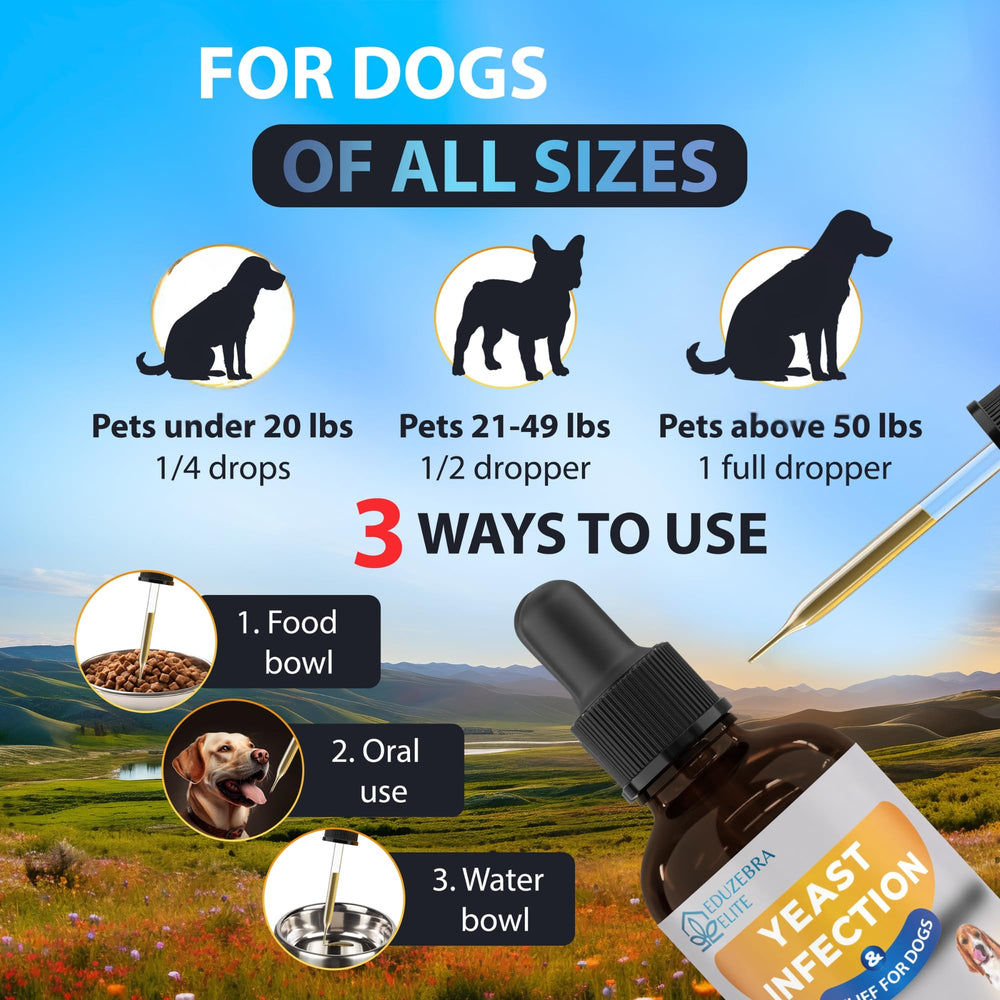 EDUZEBRA holistic wellbeing for dogs showcases overall support