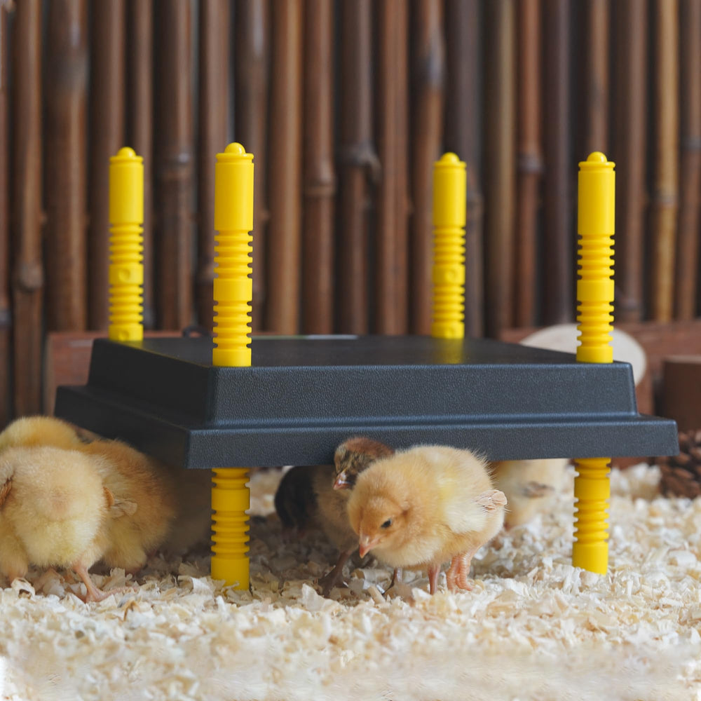 Eggluuz flame retardant material keeps the heater safe