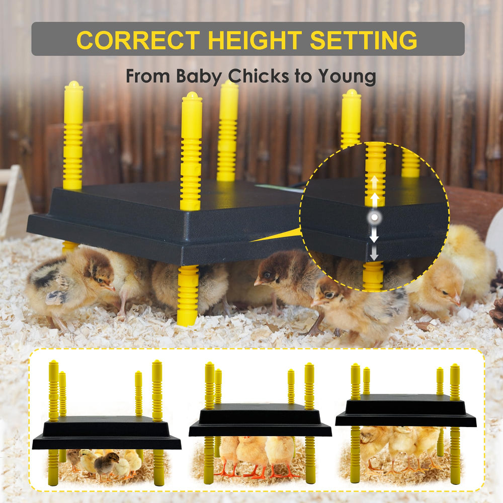 Eggluuz Chick Brooder Plate safety and energy efficiency