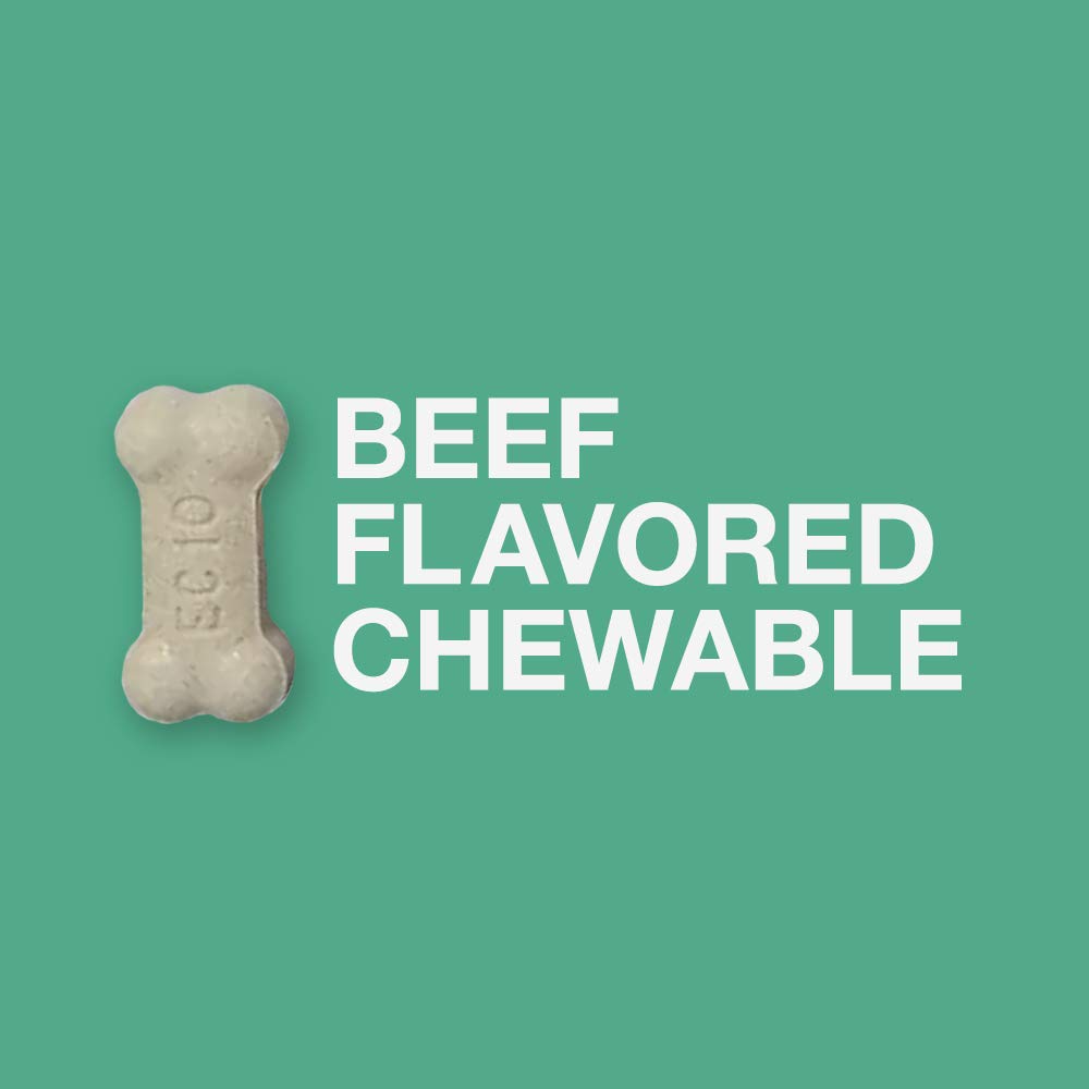 Close-up of chewable tablets with beef flavor.