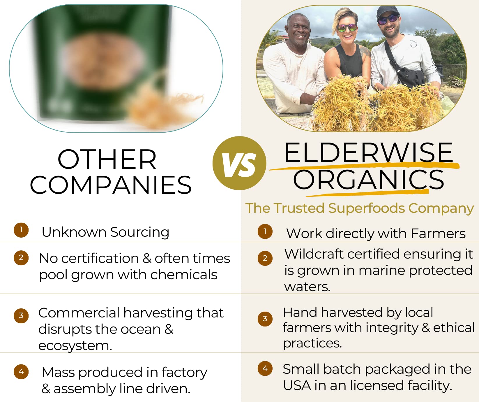 Elderwise Mineral-rich Sea Moss, supports daily nutrient intake when blended