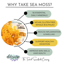 Elderwise Sea Moss Saint Lucia harvest, great for post-workout mineral boost