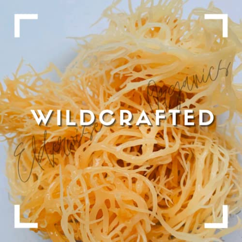 Elderwise Sea Moss for smoothies, dressings, and sauces