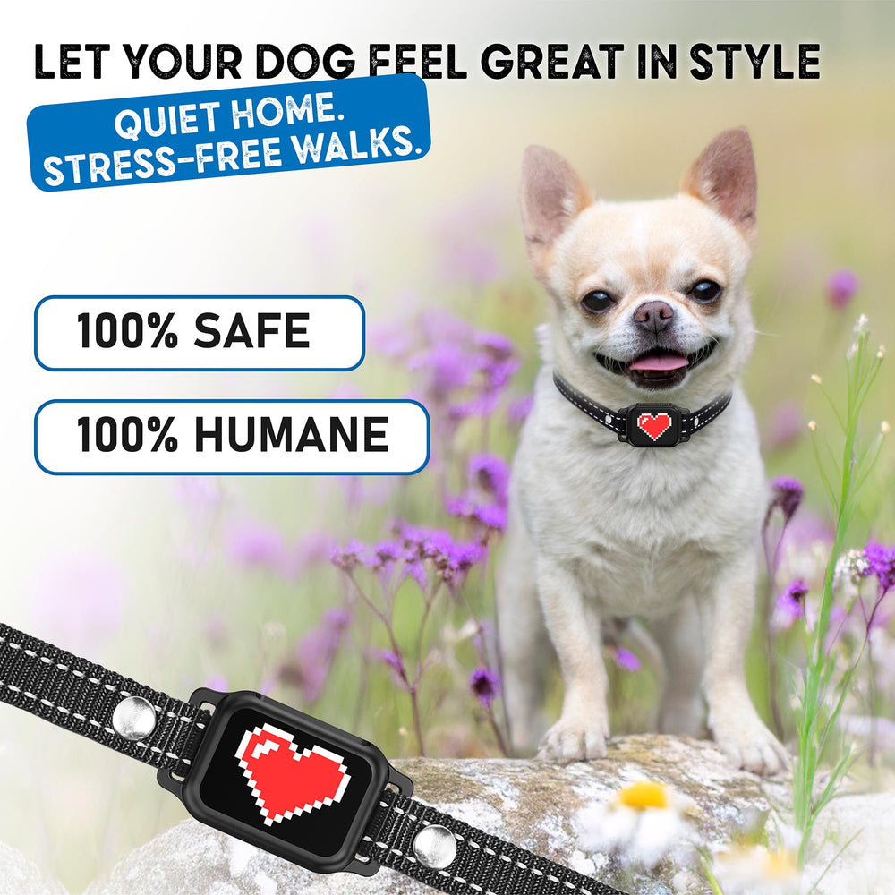 ELECANE training collar supports calm home environments.
