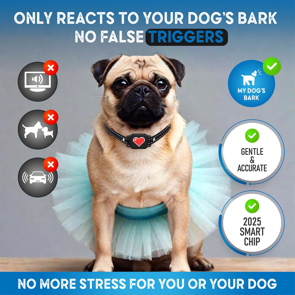 ELECANE IP67 waterproof collar for all-weather training.