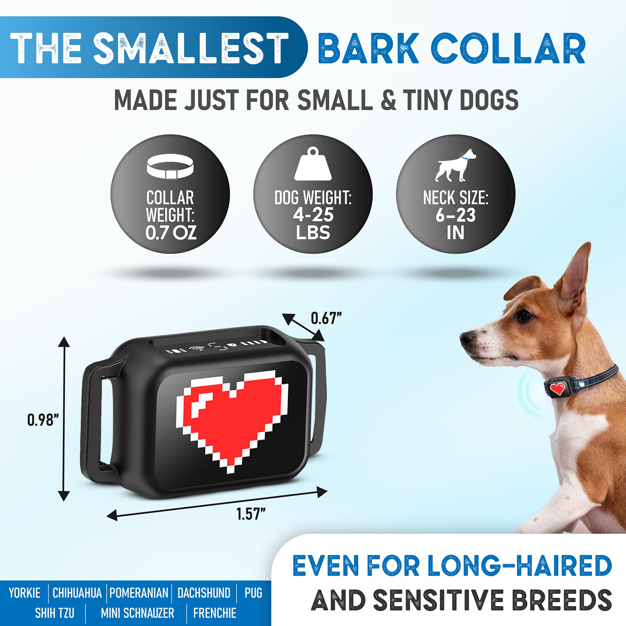 ELECANE bark collar with adjustable strap for secure walks.