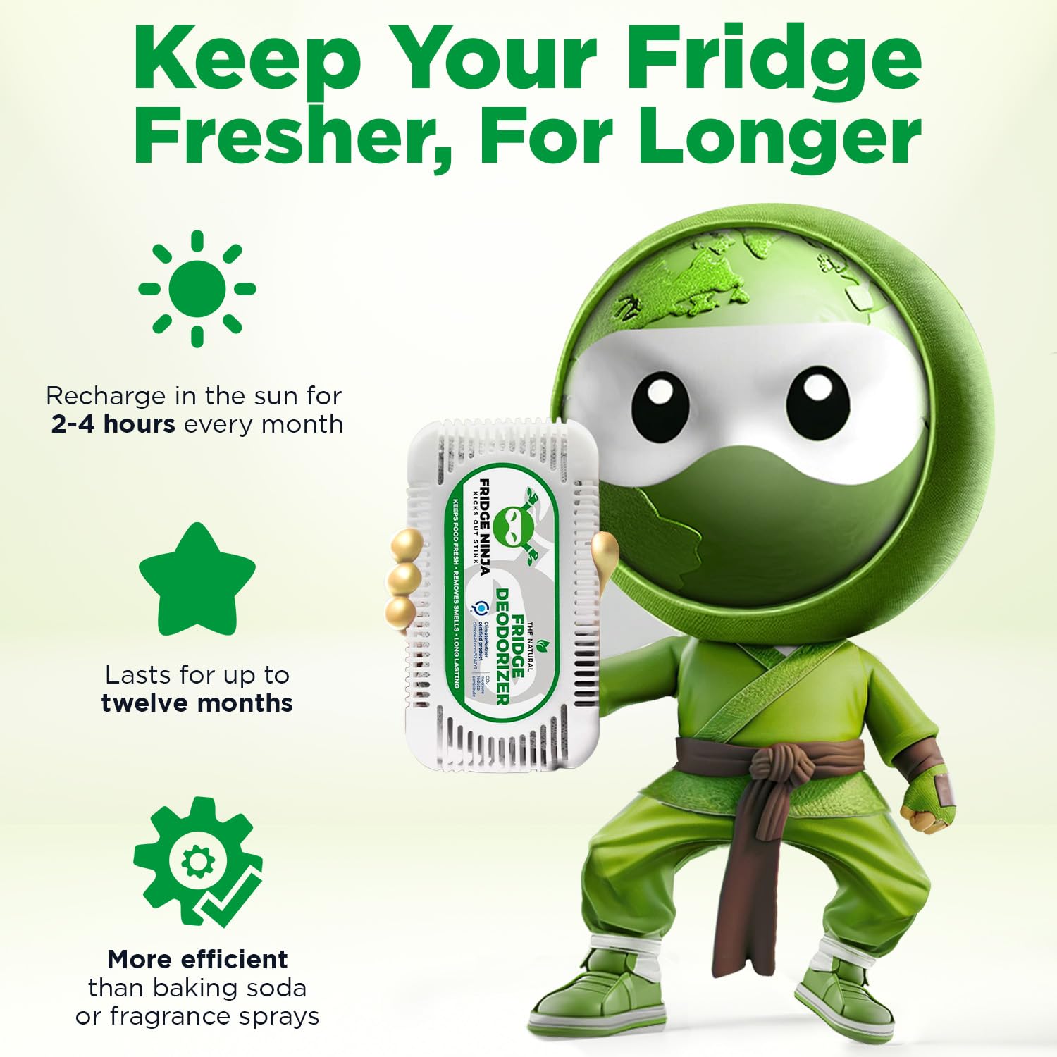 Ellis Harper Fridge Ninja lunch-bag use keeps meals smelling clean on the go
