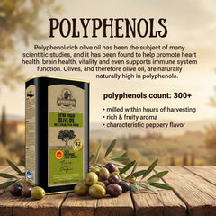 Ellora Farms Olive Oil origin grove—traceable from grove to table.