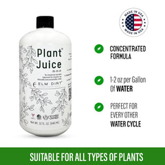 Elm Dirt Plant Juice dilution setup for easy soil mix and feeding