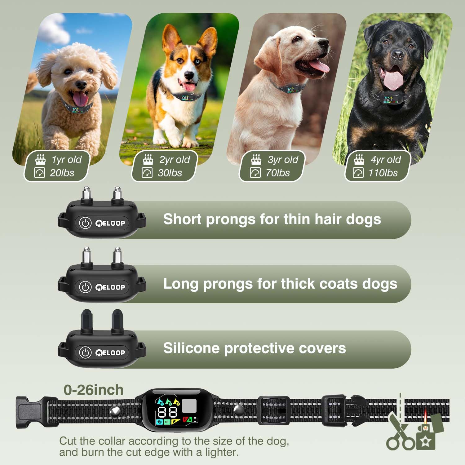 ELOOP training modes: sound, vibration, static for versatile guidance.