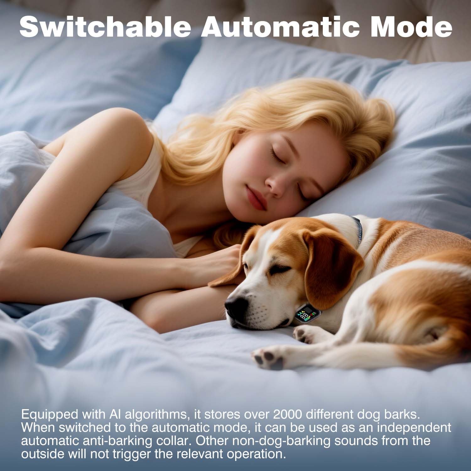 ELOOP remote and collar charge quickly with Type-C fast charging.