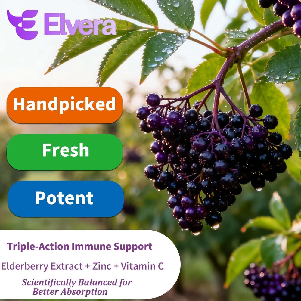 ELSORY Elvera vitamin C and zinc blend label showcasing nutrient support.