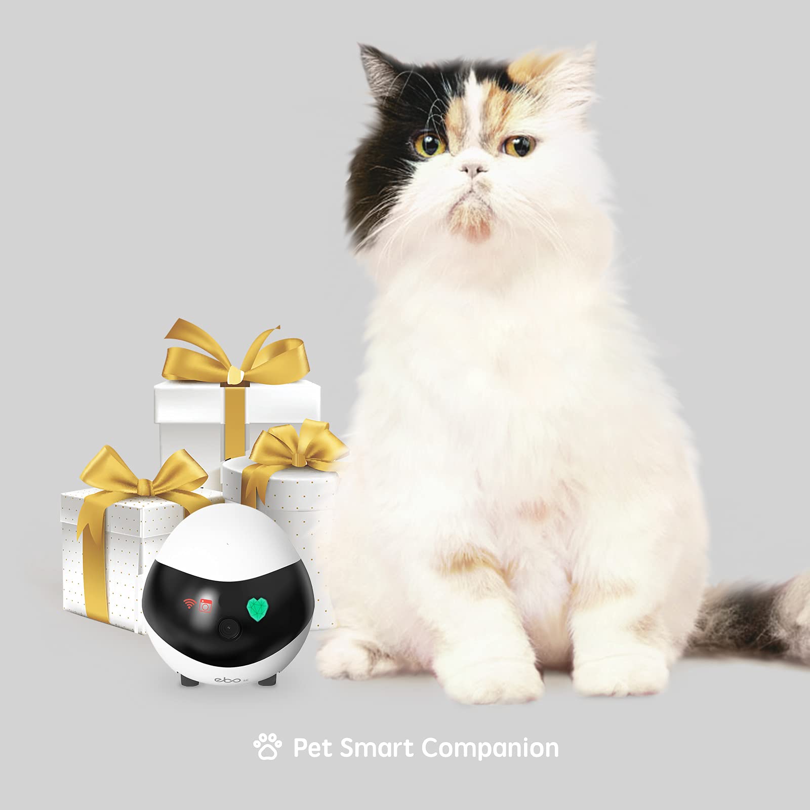 Enabot EBO SE charging dock enables easy recharging after use.