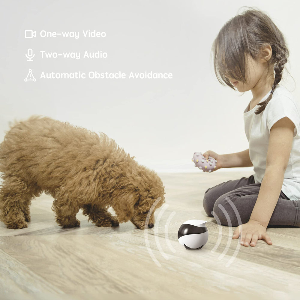 Enabot EBO SE compact body slides under furniture for hidden-camera coverage.