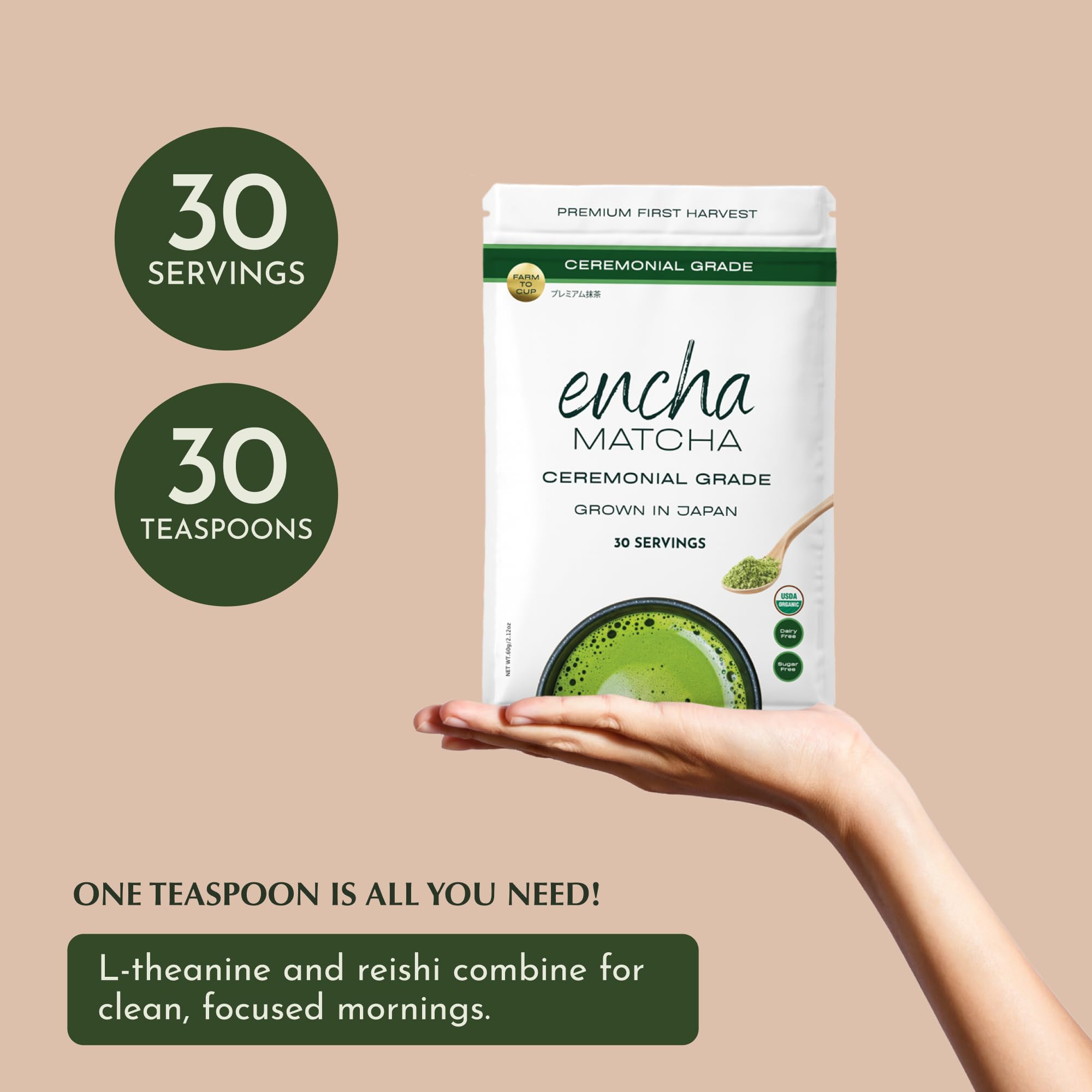 Frothy Encha matcha latte ready to enjoy with plant or dairy milk.