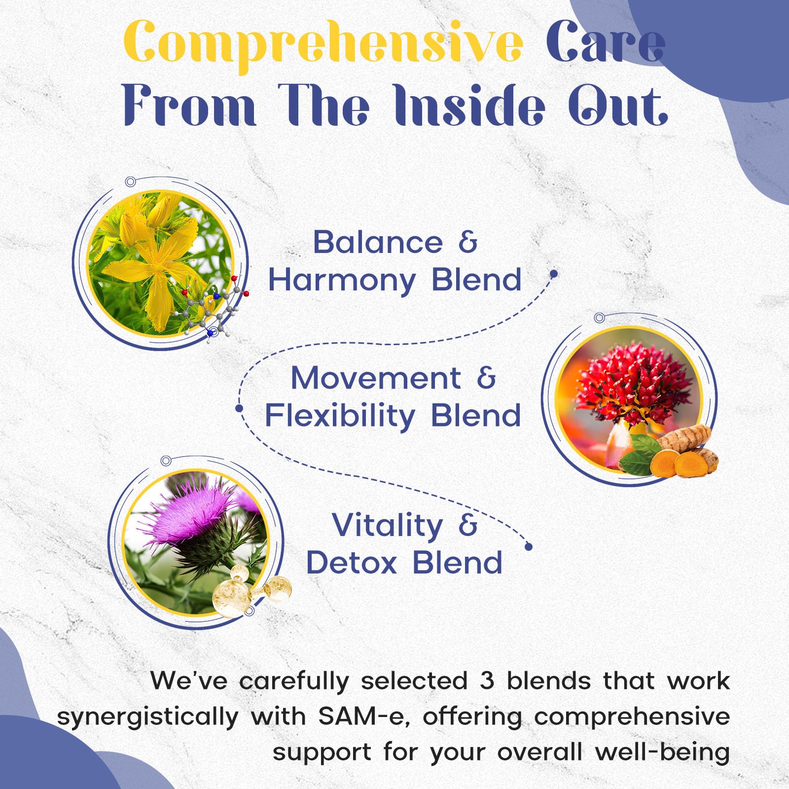 Enerlix enteric-coated SAM-e pill protecting active ingredients
