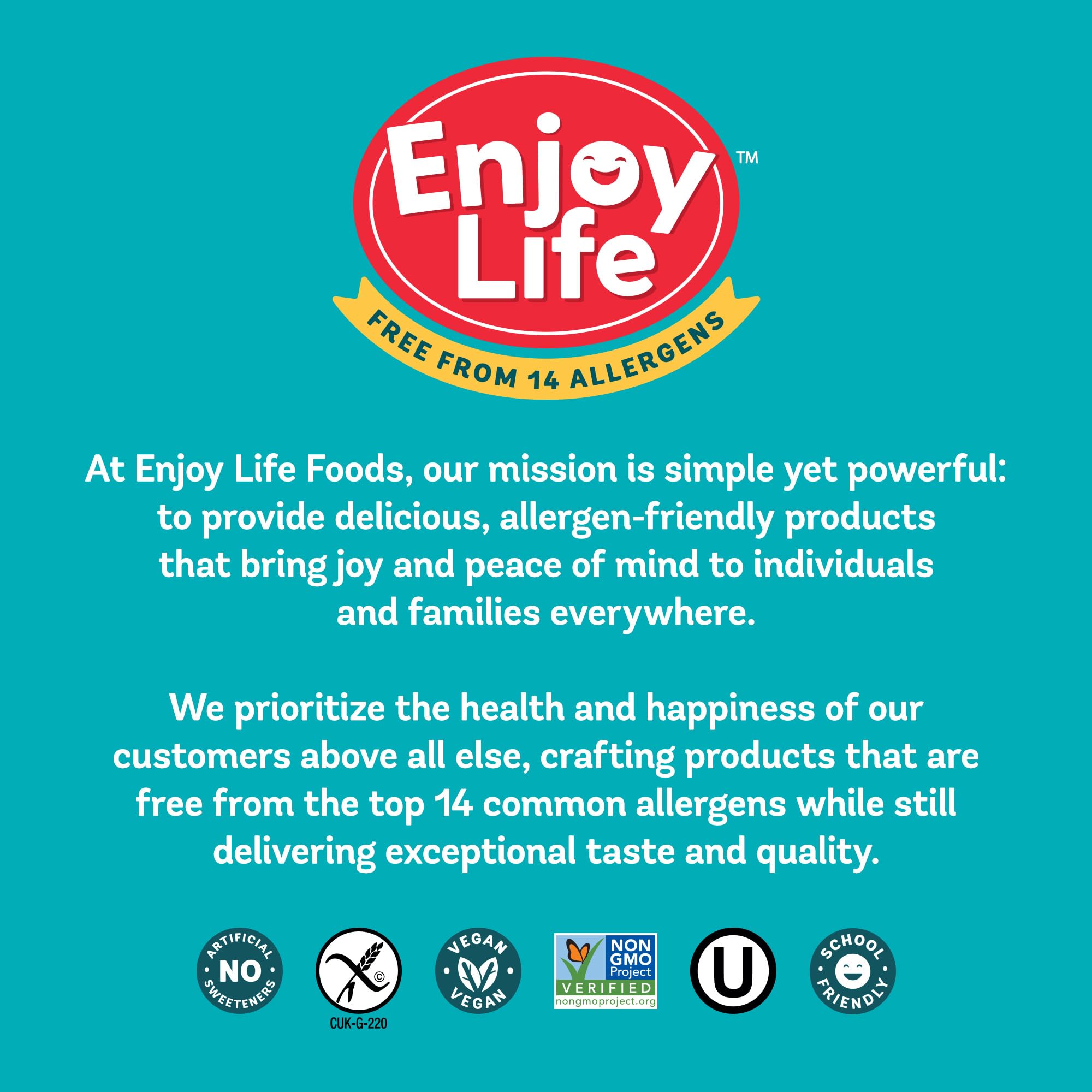 Single-serve bag of Enjoy Life Ricemilk Morsels for snackable bites.