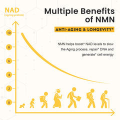 Closeup of Enprotess Sublingual NMN 500mg lozenges for daily energy support.
