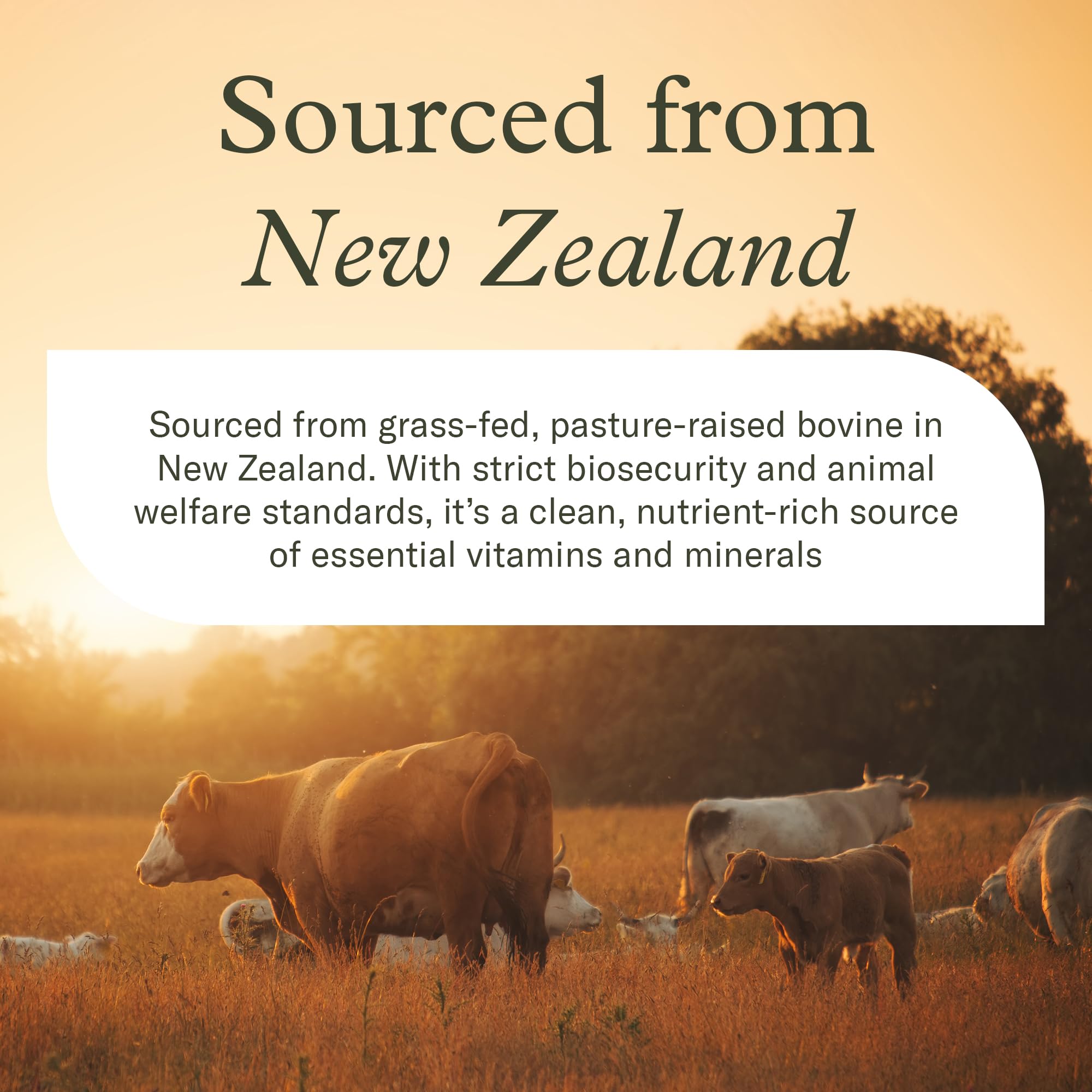 Enviromedica freeze-dried beef liver capsules highlight purity with no fillers